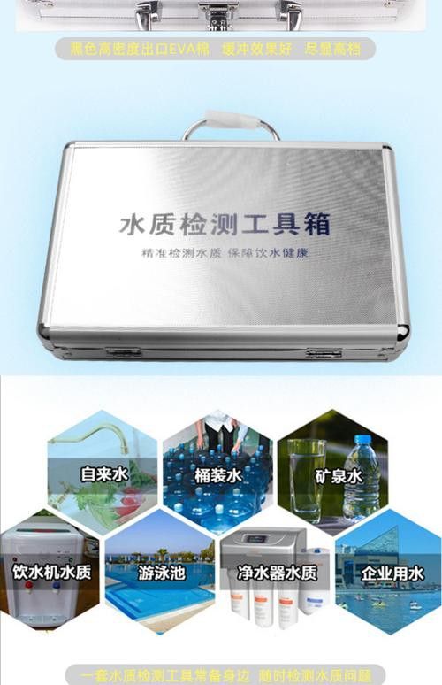 新手養銀龍魚教學方法圖片