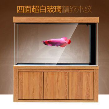 養龍魚用什么品牌的缸好養：養龍魚用什么品牌的缸好養養龍魚用什么牌子的缸好養