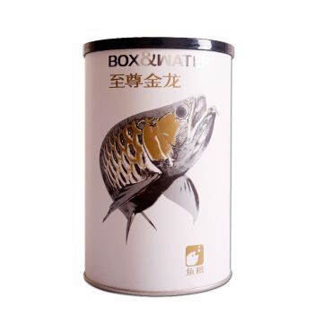 過背金龍魚飼養(yǎng)方法（過背金龍魚是一種受歡迎的觀賞魚，過背金龍魚日常護(hù)理要點）