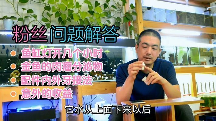 龍魚缸里的燈每天開多久（龍魚缸的燈每天開多久合適）