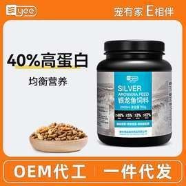 銀龍魚苗長什么樣子圖片