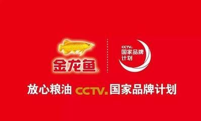金龍魚國家品牌計劃（金龍魚國家品牌計劃是一項旨在提升品牌知名度和市場影響力的戰(zhàn)略項目）