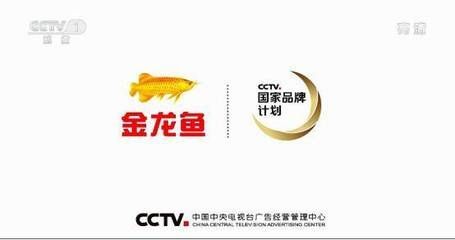 金龍魚國家品牌計劃（金龍魚國家品牌計劃是一項旨在提升品牌知名度和市場影響力的戰(zhàn)略項目）