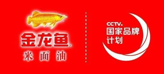 金龍魚國家品牌計劃（金龍魚國家品牌計劃是一項旨在提升品牌知名度和市場影響力的戰(zhàn)略項目）