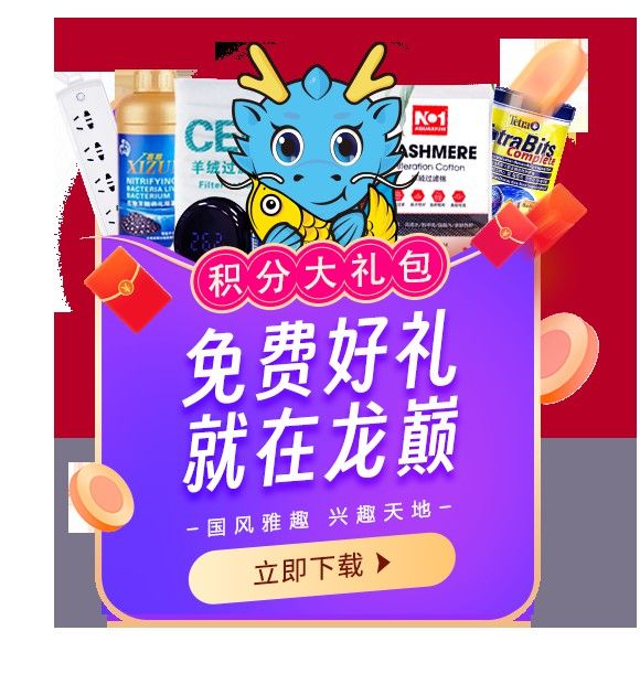 紅龍魚多久能長到60公分？ 紅龍魚多久能長到60公分？ 龍魚百科 第2張