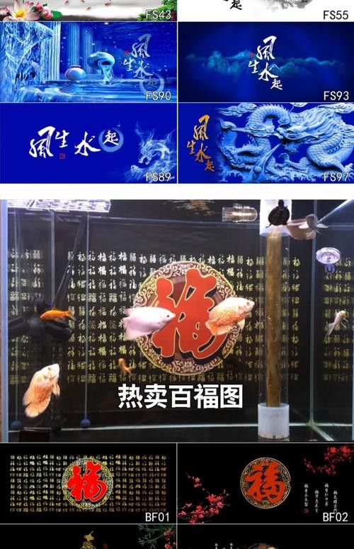 龍魚缸背景圖片大全