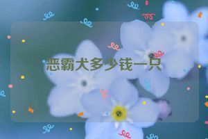 雷龍魚怎么訓(xùn)練兇狠性：如何判斷雷龍魚的兇狠性，雷龍魚咬缸技巧分享 雷龍魚怎么訓(xùn)練兇狠性：如何判斷雷龍魚的兇狠性，雷龍魚咬缸技巧分享 龍魚百科 第3張