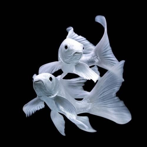 龍魚(yú)壁紙超清圖片 龍魚(yú)百科 第7張 龍魚(yú)壁紙超清圖片 龍魚(yú)壁紙超清圖片 龍魚(yú)百科 第7張