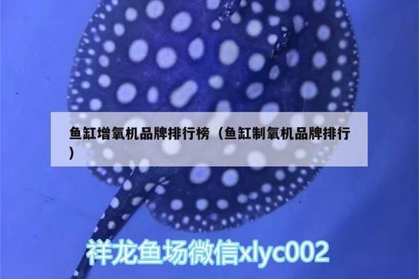 黑云魚養殖溶氧設備選擇，