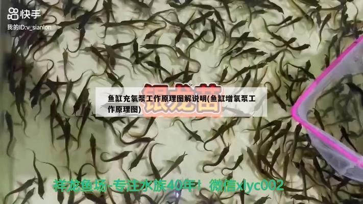 黑云魚養殖溶氧設備選擇，