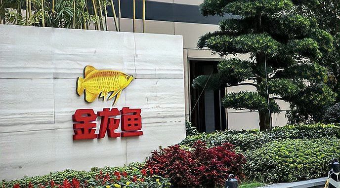 過(guò)背金龍魚的市場(chǎng)亂象有哪些？
