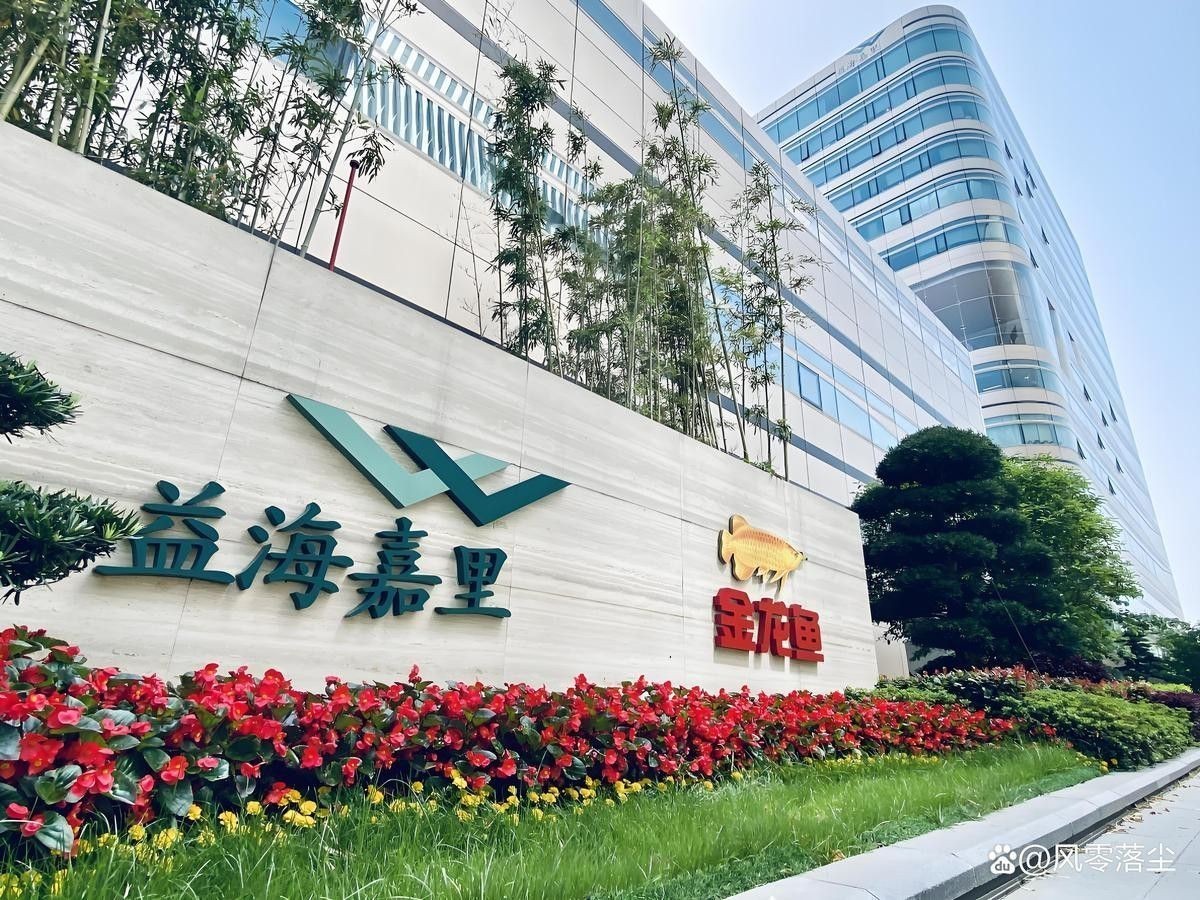 過(guò)背金龍魚的市場(chǎng)亂象有哪些？