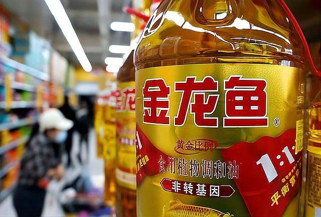 過(guò)背金龍魚的市場(chǎng)亂象有哪些？