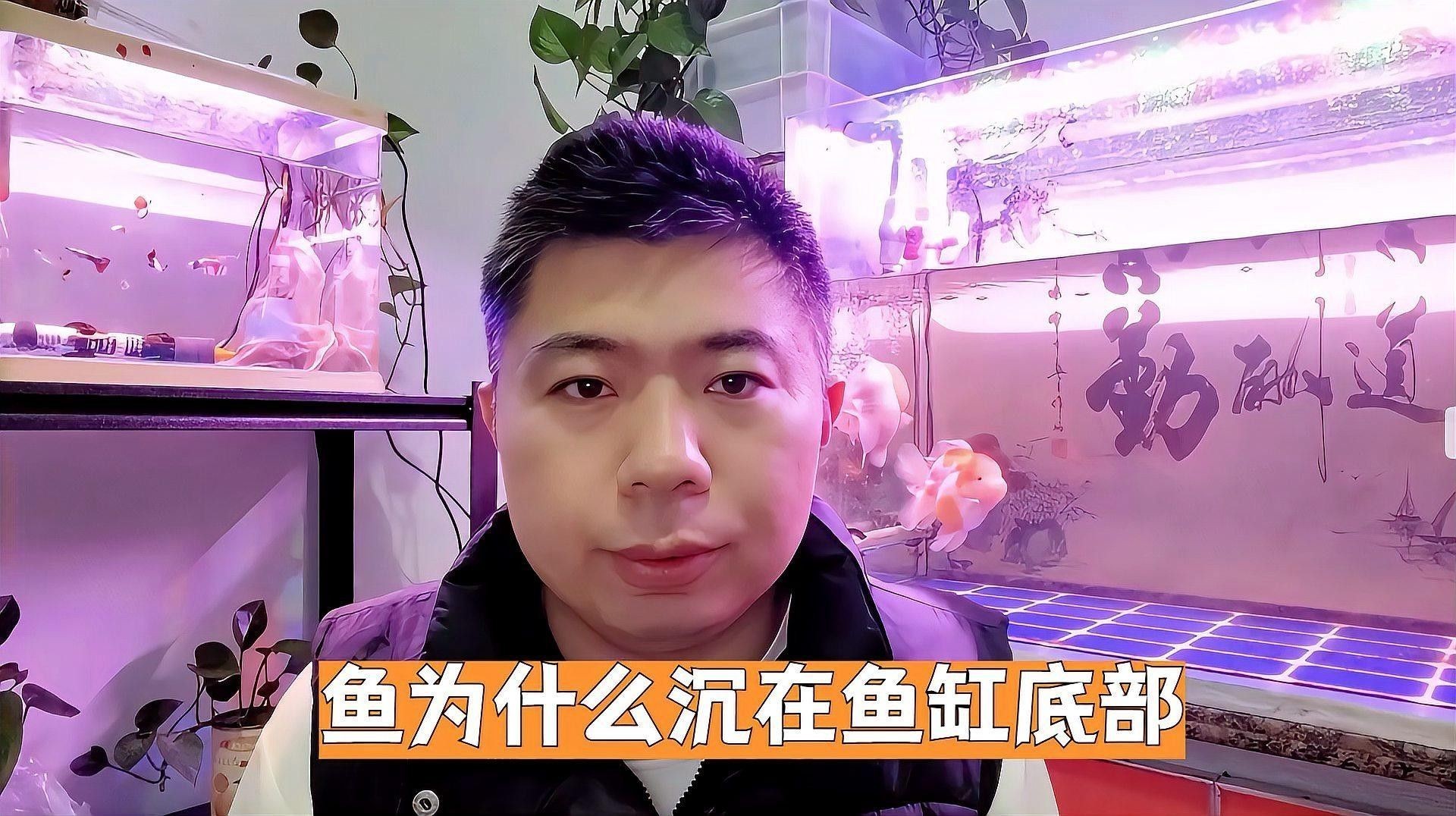 銀龍魚沉在缸底是什么原因造成的