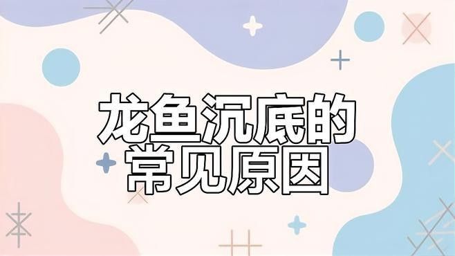 銀龍魚沉在缸底是什么原因造成的