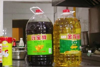 金龍魚60厘米需要多少年才能長大：關于金龍魚的生長速度和成年體型受到多種因素影響的信息
