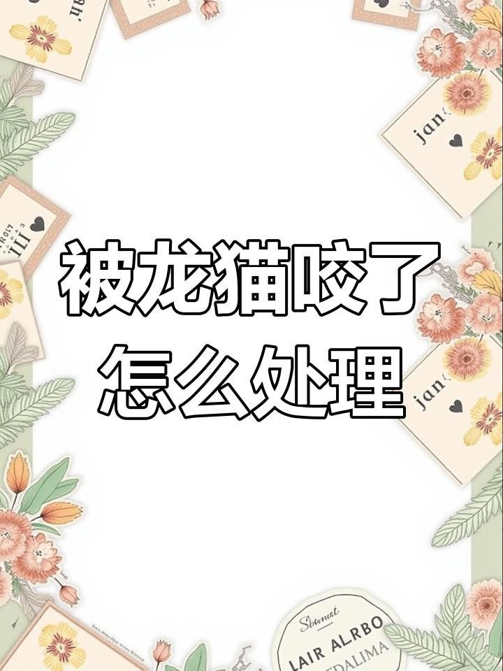 被龍貓咬傷后需要打破傷風嗎？ 被龍貓咬傷后需要打破傷風嗎？ 龍魚百科 第5張