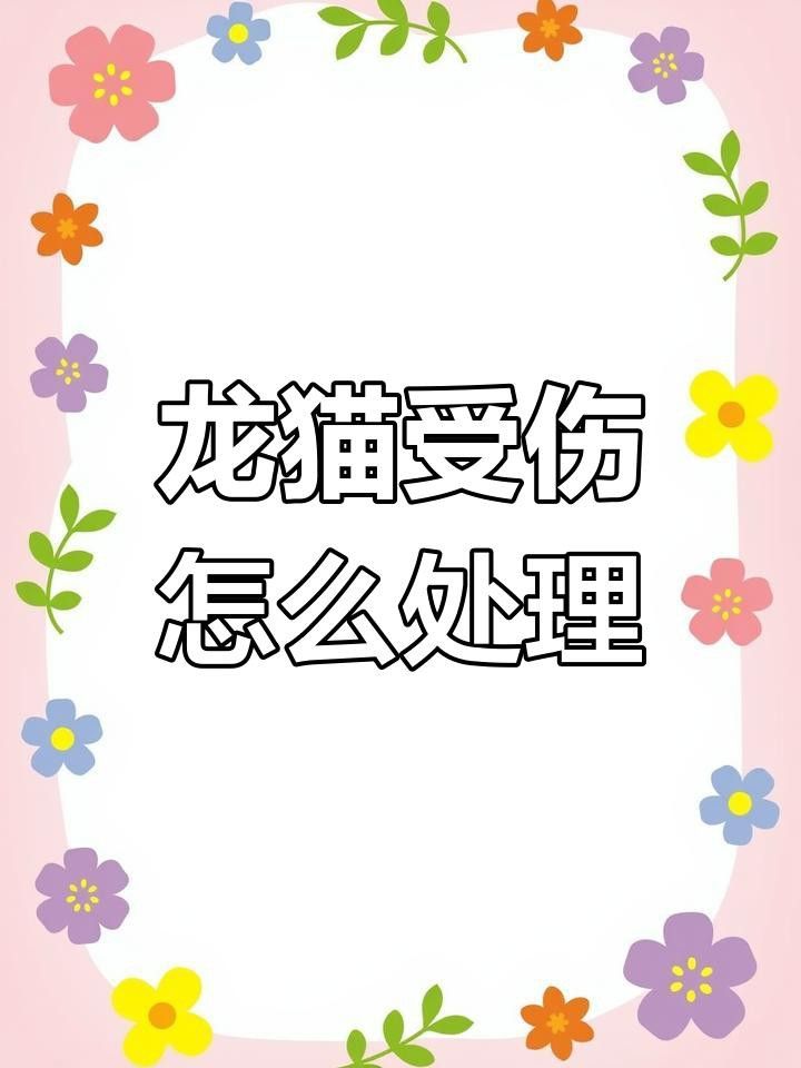 被龍貓咬傷后需要打破傷風嗎？ 被龍貓咬傷后需要打破傷風嗎？ 龍魚百科 第6張