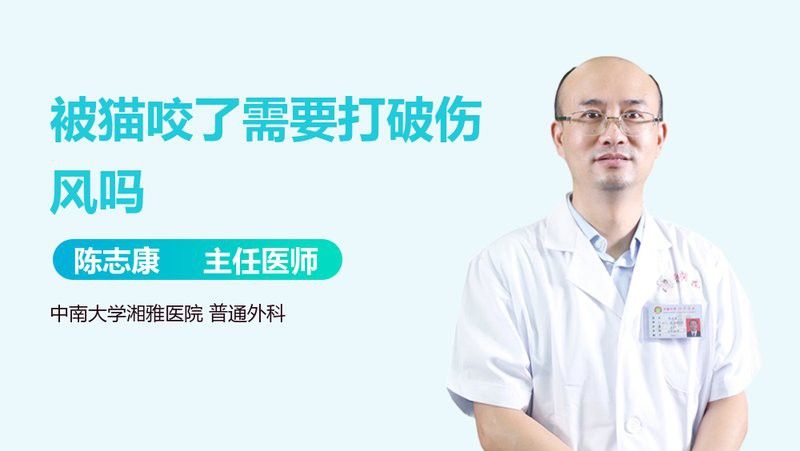 被龍貓咬傷后需要打破傷風嗎？ 被龍貓咬傷后需要打破傷風嗎？ 龍魚百科 第8張