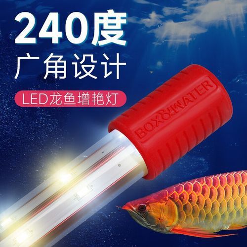 金龍魚頂燈怎么擺放圖片