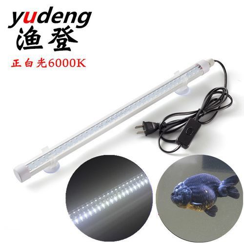 金龍魚頂燈怎么擺放圖片