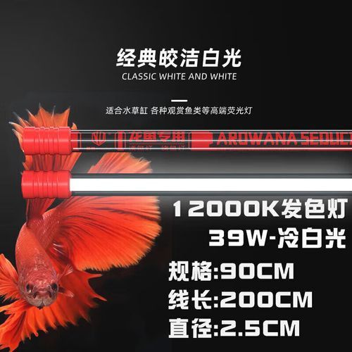 金龍魚頂燈怎么擺放圖片