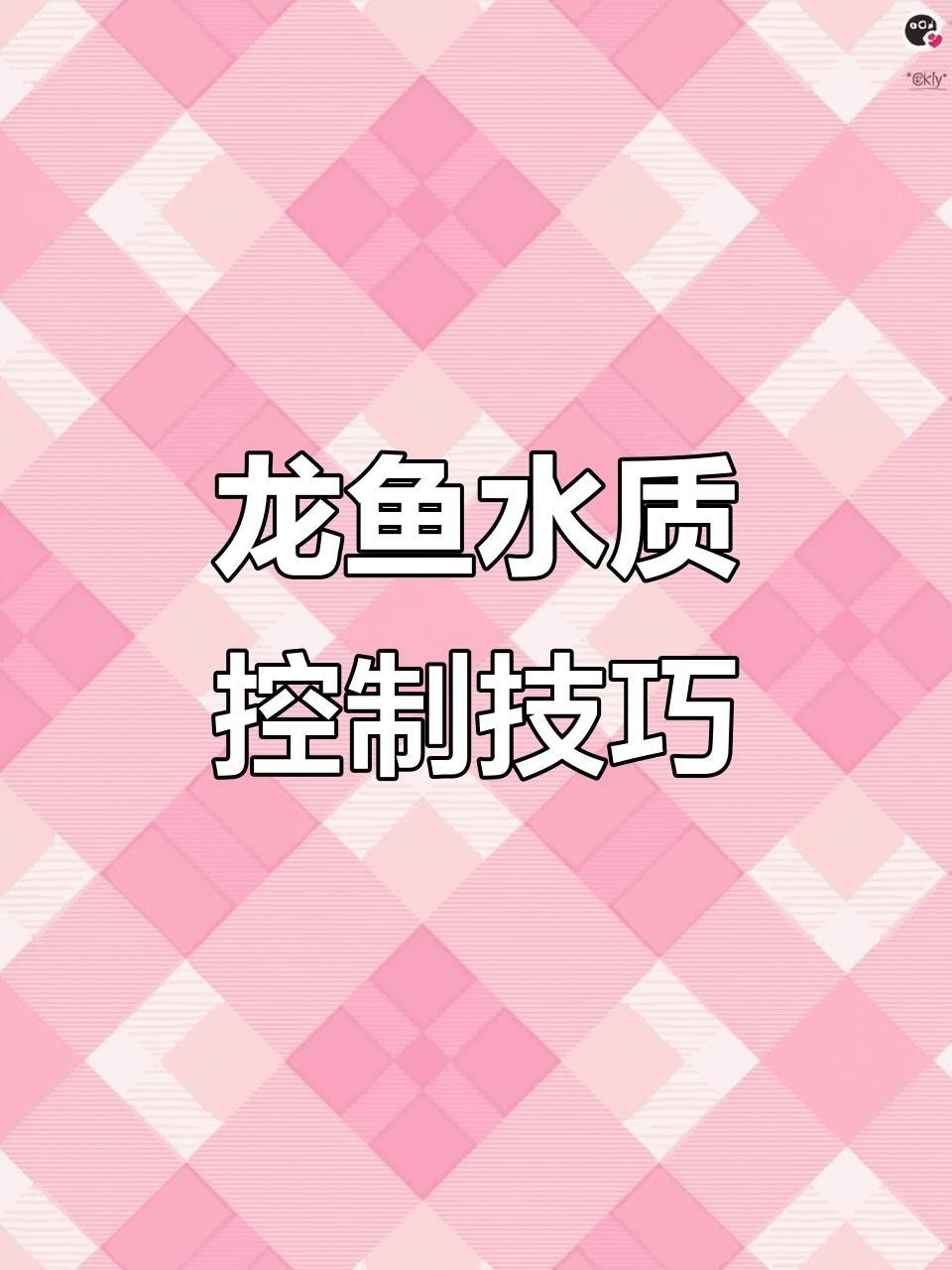 金頭金龍魚適合新手養嗎？