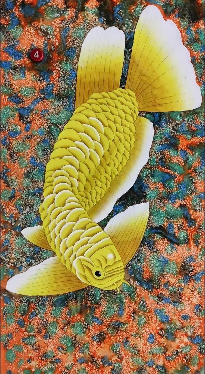 金龍魚圖片高清壁紙豎屏