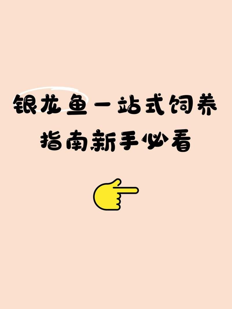 新手養銀龍魚教學設計