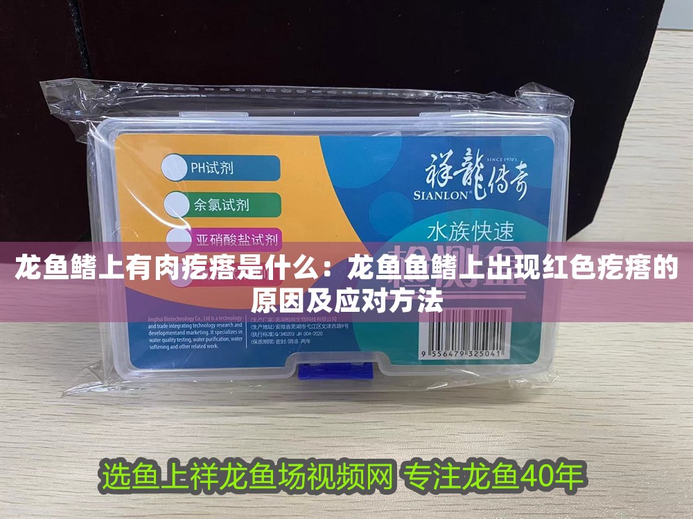 龍魚鰭上有肉疙瘩是什么：龍魚魚鰭上出現(xiàn)紅色疙瘩的原因及應(yīng)對(duì)方法