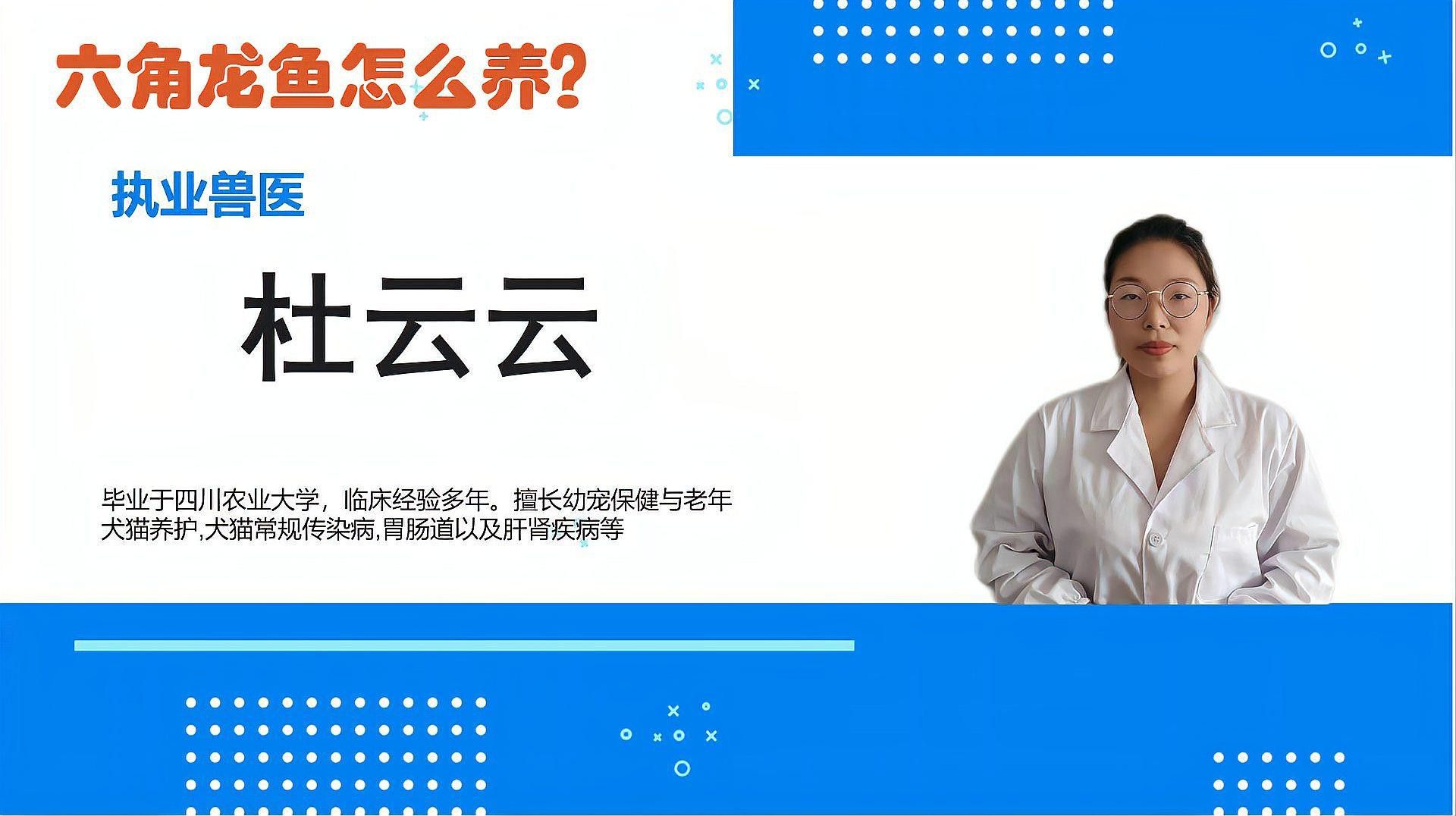 六角龍魚深水養可以嗎怎么養