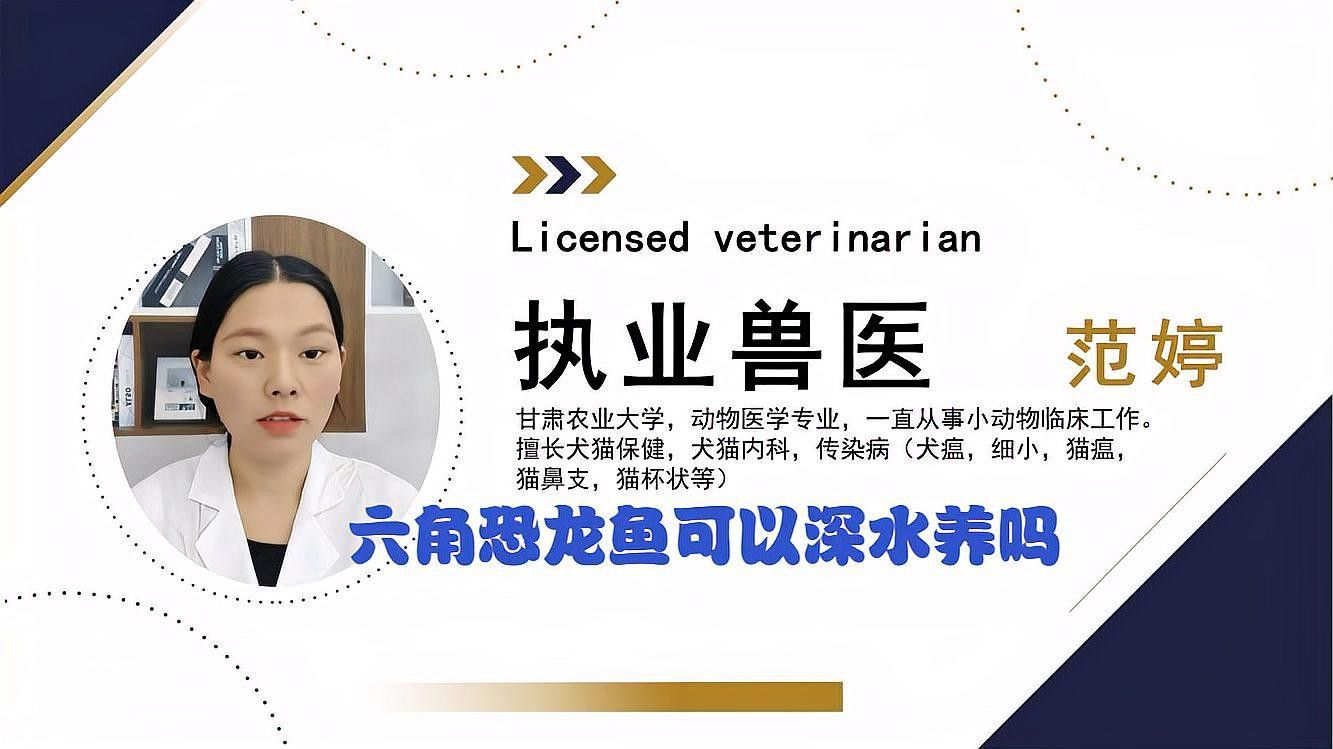 六角龍魚深水養可以嗎怎么養