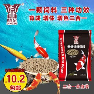 龍魚吃飼料能長大嗎為什么：龍魚可以吃飼料長大嗎