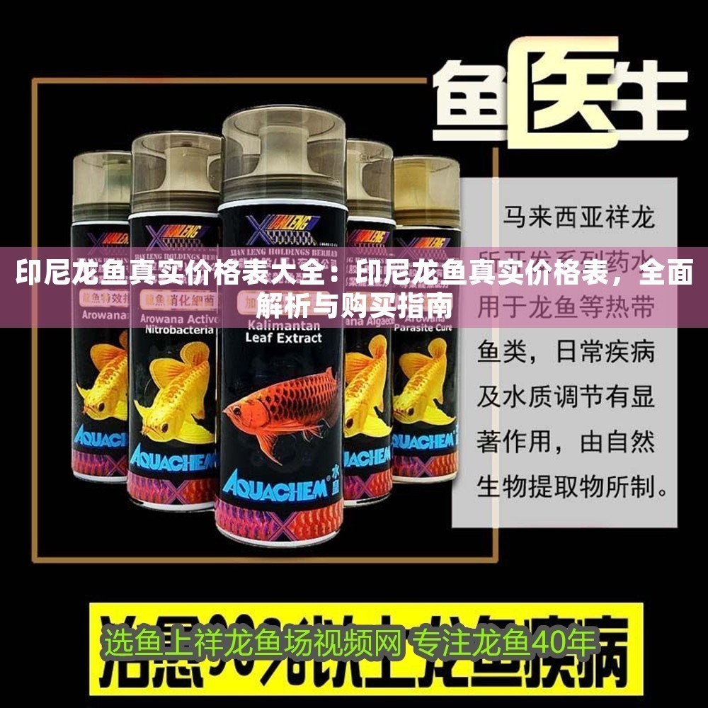 印尼龍魚真實價格表大全：印尼龍魚真實價格表，全面解析與購買指南