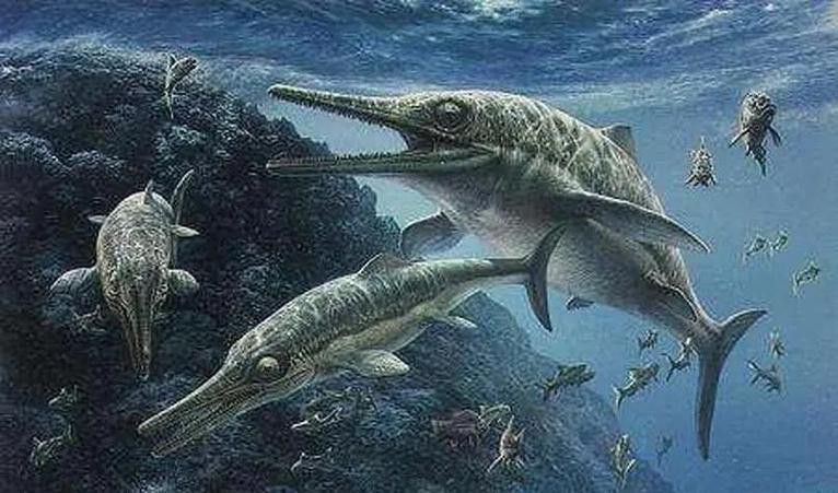 貴州龍魚化石圖片