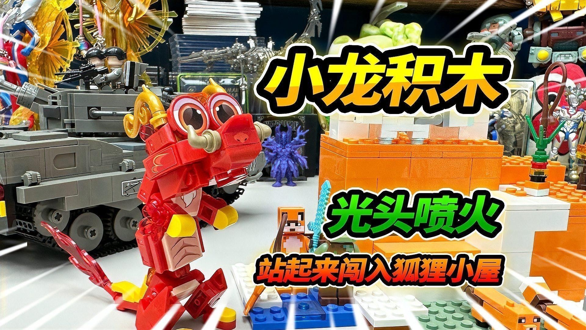 如何選擇適合小火龍魚的互動玩具？ 如何選擇適合小火龍魚的互動玩具？ 龍魚百科 第7張