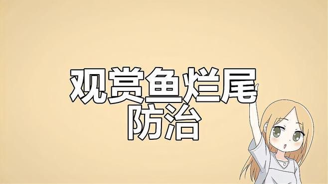 金龍魚爛尾一般多久會自愈？