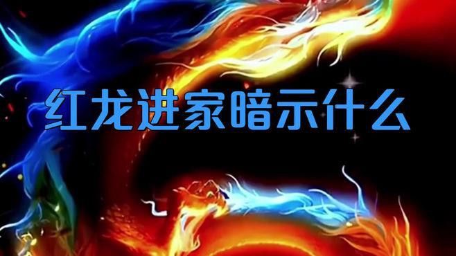 紅龍與金龍在文化中的地位