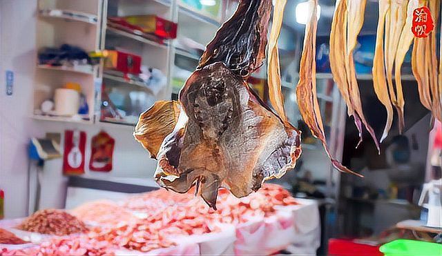 溫州龍魚哪里賣的多