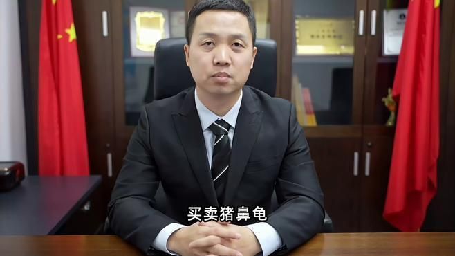 買(mǎi)豬鼻龜?shù)?0大忠告