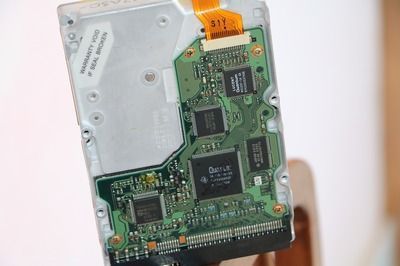 龍魚芯片號碼900什么意思：龍魚芯片信息如何查詢，龍魚芯片對價格的影響