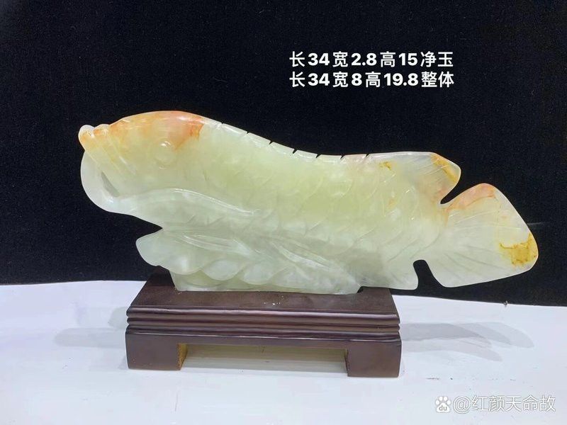 金龍魚擺件如何保養？