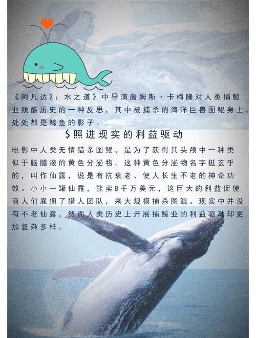 鯨魚嘴巴圖片
