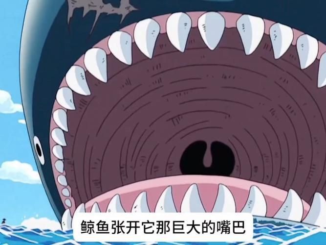 鯨魚嘴巴圖片