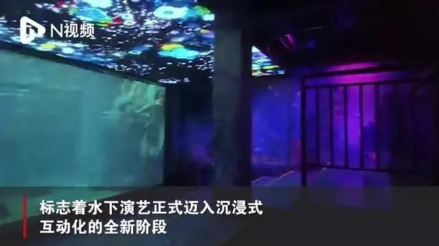 還有哪些關(guān)于龍魚(yú)的視頻系列？