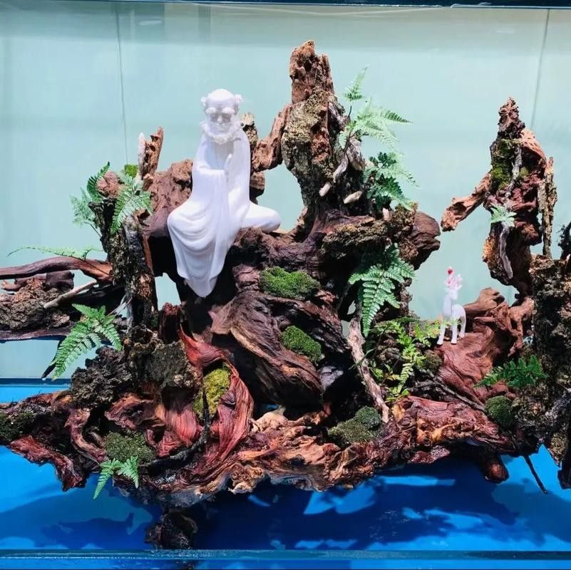 龍魚沉木造景圖片