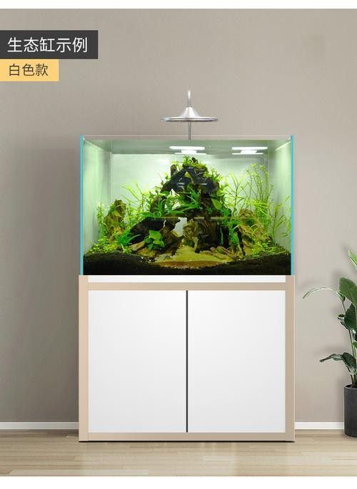 龍魚沉木造景圖片