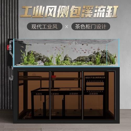 龍魚沉木造景圖片