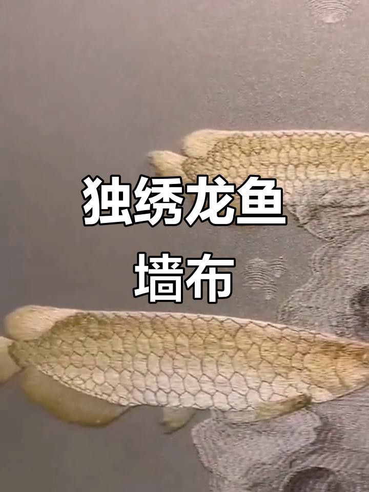 如何定制紅龍魚壁紙的尺寸？