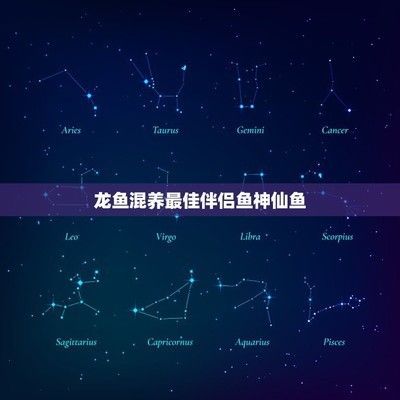 龍魚混養(yǎng)最佳伴侶魚（適合與龍魚混養(yǎng)的魚類）